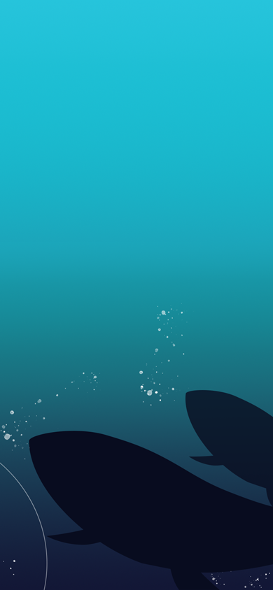 スマートフォン用の画像